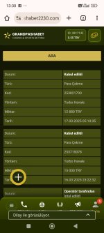 Screenshot_2025-03-17-13-30-06-874_com.android.chrome.jpg