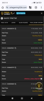 Screenshot_2025-03-17-20-31-37-475_com.android.chrome.jpg