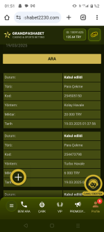 Screenshot_20250319-015130.png