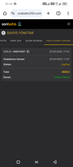 Screenshot_20250329-211337.png