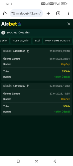 Screenshot_20250330-121305.png