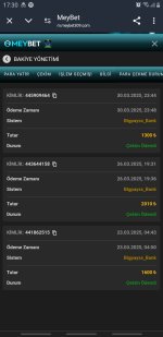 Screenshot_20250331-173025_Chrome.jpg
