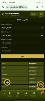 Screenshot_2025-04-01-18-10-29-609_com.android.chrome.jpg
