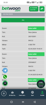 Screenshot_20250402-203047.png