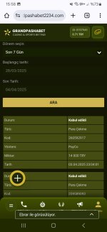 Screenshot_20250404_155858_Chrome.jpg