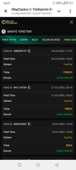 Screenshot_20250404-180738.png