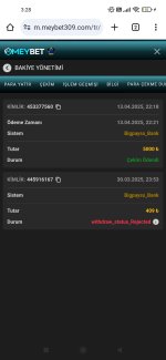 Screenshot_2025-04-14-03-28-02-134_com.android.chrome.jpg