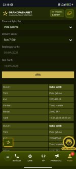 Screenshot_2025-04-16-23-18-52-471_com.android.chrome.jpg