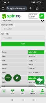 Screenshot_20250417-172622.png