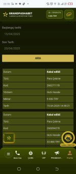 Screenshot_20250420-231811.jpg