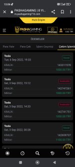 Screenshot_2022-09-07-13-06-23-140_com.android.chrome.jpg
