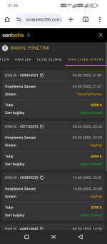 Screenshot_20250424-213028.png