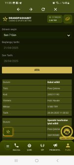 Screenshot_20250428_113528.jpg