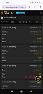Screenshot_2025-04-28-19-08-44-736_com.android.chrome.jpg