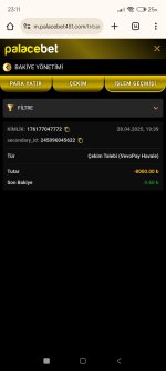 Screenshot_2025-04-28-23-11-03-033_com.android.chrome.jpg