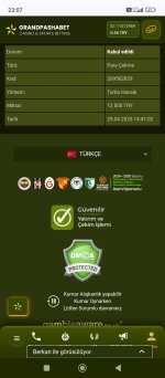 Screenshot_2025-04-29-23-07-12-658_com.android.chrome.jpg