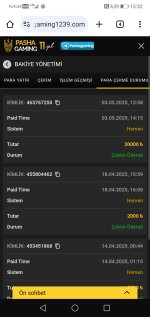 Screenshot_20250504_133200_com.android.chrome.jpg