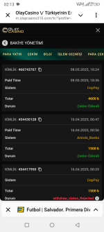 Screenshot_20250509-021341.png
