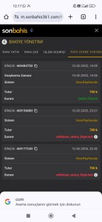 Screenshot_2025-05-14-12-17-03-061_com.android.chrome.jpg