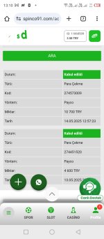 Screenshot_20250514-131044.jpg