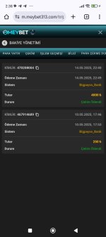 Screenshot_2025-05-15-02-38-07-093_com.android.chrome.jpg