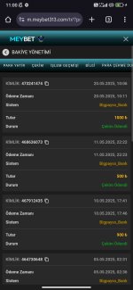Screenshot_2025-05-20-11-00-42-099_com.android.chrome.jpg
