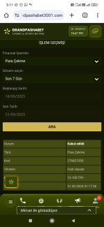 Screenshot_2025-05-21-03-11-52-709_com.android.chrome.jpg
