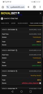 Screenshot_20250526_233045_com.android.chrome.jpg