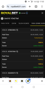 Screenshot_20250530-173245.png