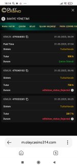 Screenshot_2025-05-31-18-14-30-259_com.yandex.searchapp.jpg