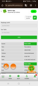 Screenshot_20250601_050143_Chrome.jpg