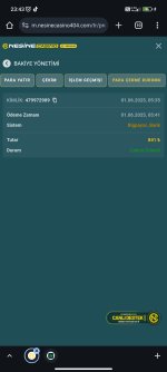 Screenshot_2025-06-01-23-43-07-333_com.android.chrome.jpg