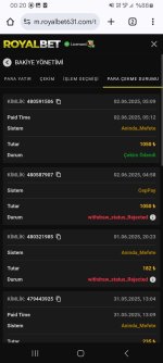Screenshot_20250603_002053_Chrome.jpg