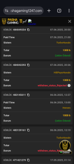 Screenshot_20250607-213514.png