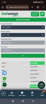 Screenshot_2025-06-10-11-45-58-954_com.android.chrome.jpg