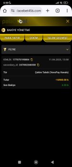 Screenshot_2025-06-12-00-59-41-865_com.android.chrome.jpg