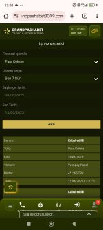 Screenshot_2025-06-15-13-00-34-107_com.android.chrome.jpg