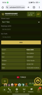 Screenshot_2025-06-15-18-06-17-552_com.android.chrome.jpg