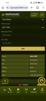 Screenshot_2025-06-16-02-16-27-994_com.android.chrome.jpg