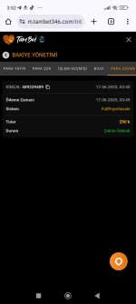 Screenshot_2025-06-17-03-52-26-966_com.android.chrome.jpg