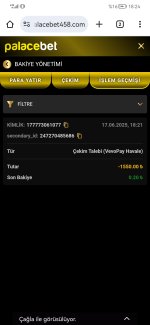 Screenshot_20250617_182407_com.android.chrome.jpg