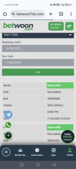 Screenshot_20250617_192039_com_android_chrome_ChromeTabbedActivity.jpg