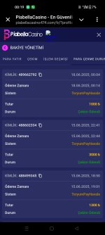 Screenshot_2025-06-18-00-19-42-14_948cd9899890cbd5c2798760b2b95377.jpg