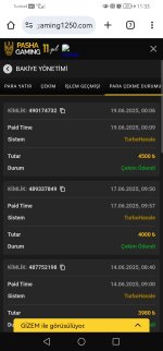 Screenshot_20250619_113351_com.android.chrome.jpg