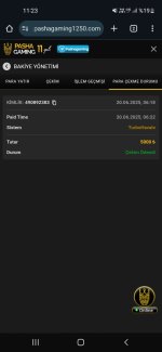 Screenshot_20250620-112315_Chrome.jpg