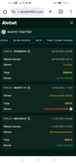 Screenshot_20250620_182726_com.android.chrome.jpg
