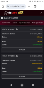 Screenshot_20250621-065157.png