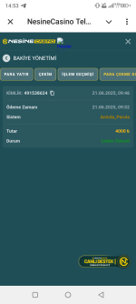 Screenshot_20250621-145304.png