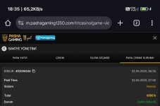 Screenshot_2025-06-22-18-35-52-880_com.android.chrome-edit.jpg