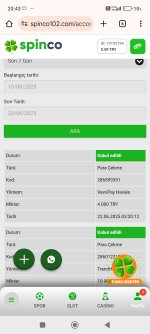 Screenshot_2025-06-22-20-43-45-099_com.android.chrome.jpg